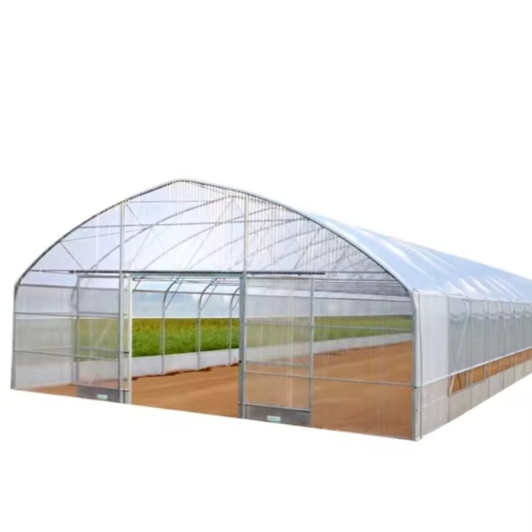 Fuma Industrial Commercial Low Cost Agricultural Greenhouses Structure Green House